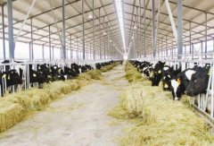 臭氧對(duì)乳業(yè)殺菌消毒的重要性