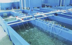 在工業循環冷卻水中的應用