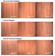 臭氧處理對(duì)真菌生長，化學(xué)成分和代謝的影響
