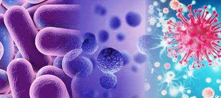 臭氧可以殺死哪些細菌和病毒